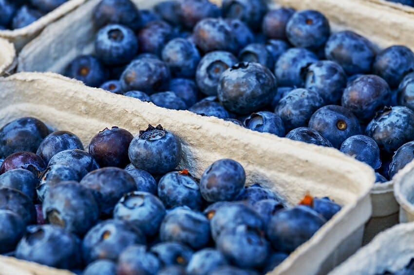 skin health tips for summer - eating Blueberries