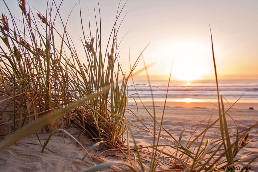 vitamin D deficiency - what is the connection between the cun and vitamin D