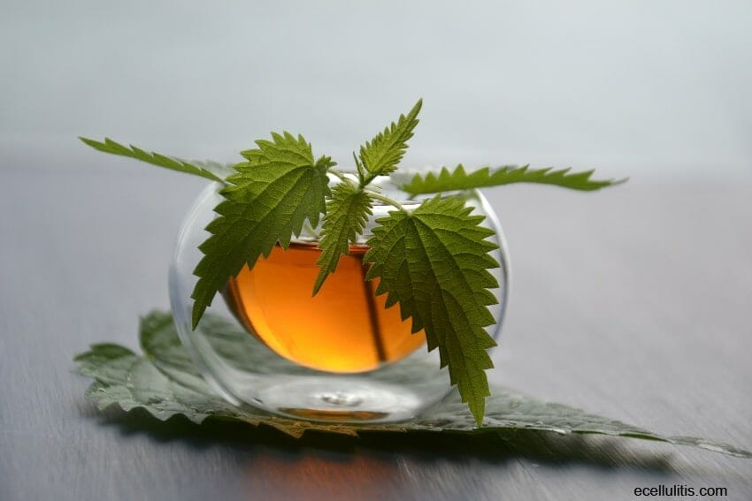 Nettle Health Benefits