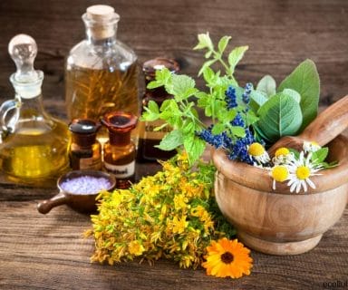 Learn How to Prepare Herbal Remedies