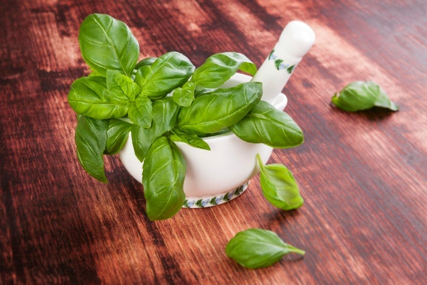 basil and amla paste for dandruff
