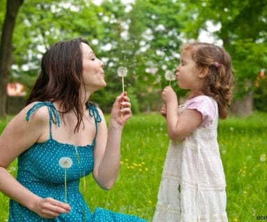 dandelion health benefits – garden weed or powerful remedy