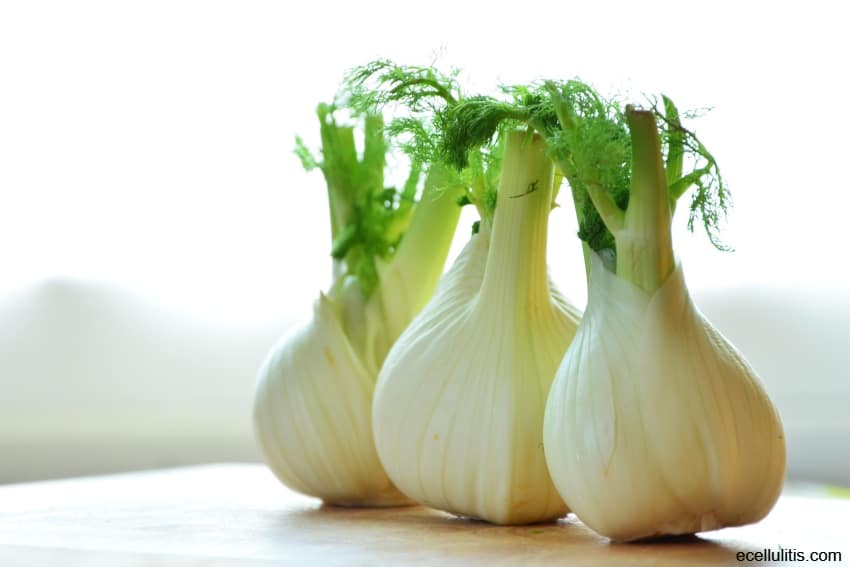 Fennel - Spices For Indigestion – Find The Remedies In Your Kitchen – Part II