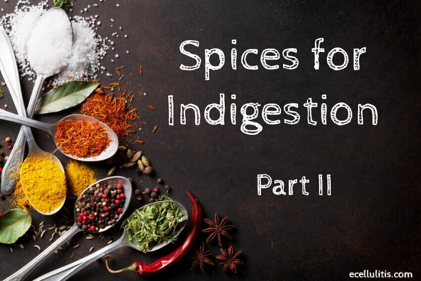 Spices For Indigestion – Find The Remedies In Your Kitchen – Part II