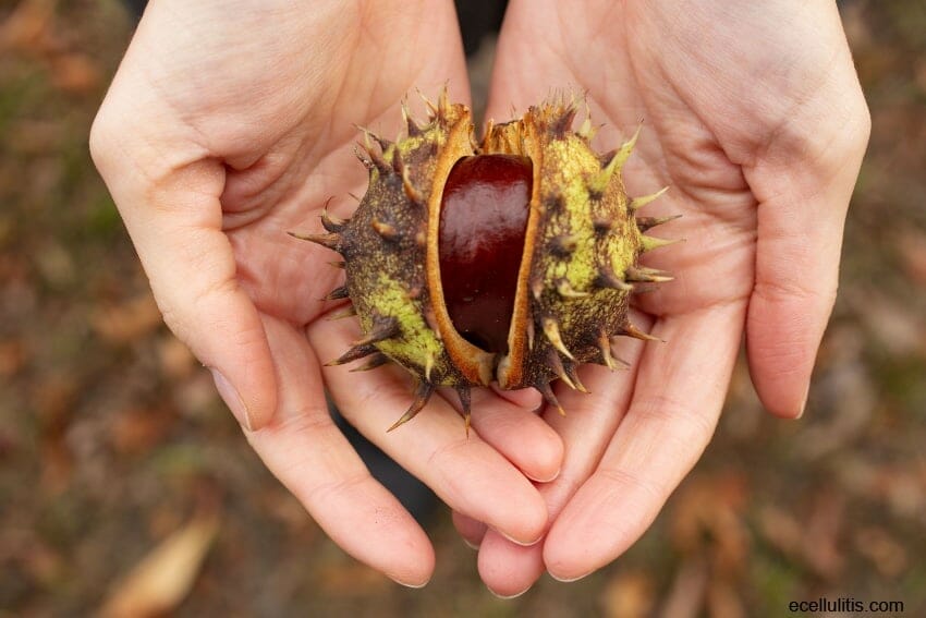 why should chestnuts be a part of the diet