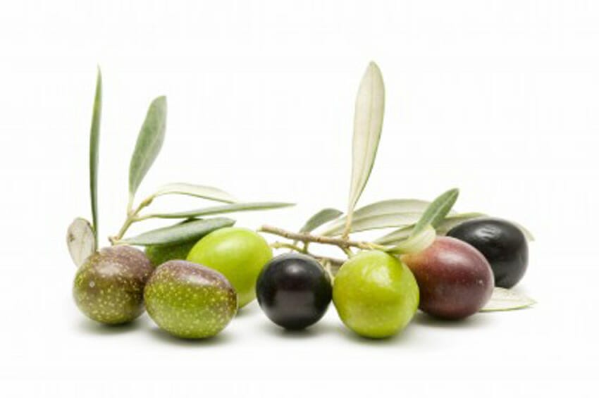 Green and Black Olives – What is the difference?