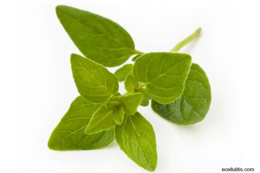 oregano oil for burns