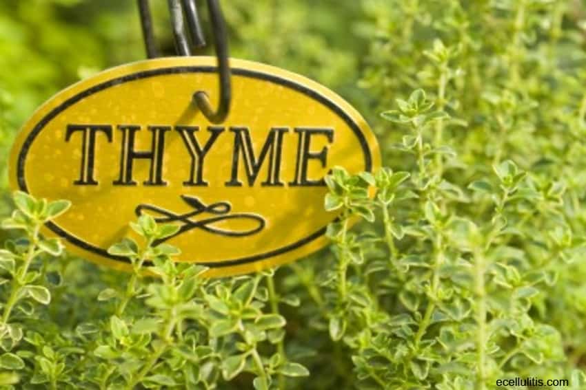 best hair oils - thyme essential oil