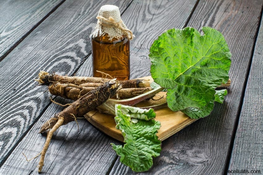 benefits of burdock root tea