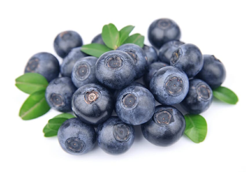 blueberries for bladder infections