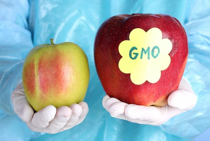 all about gmo food