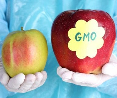 all about gmo food