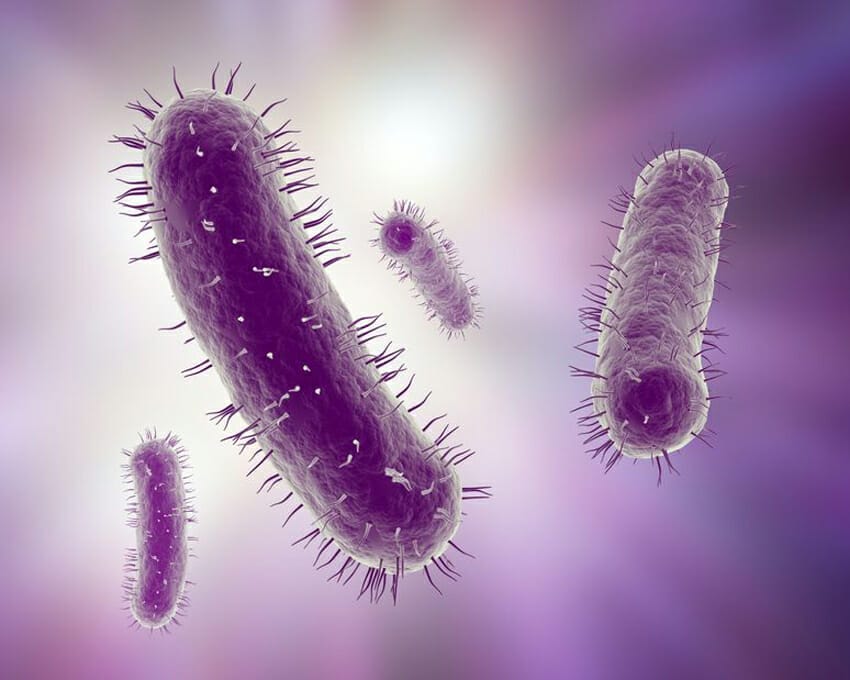 The number of bacteria on the human body