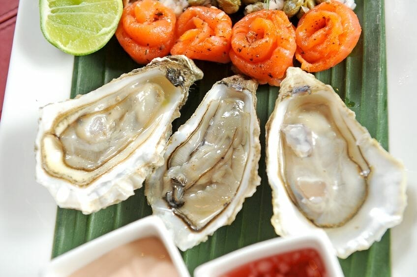 oysters - food for brain