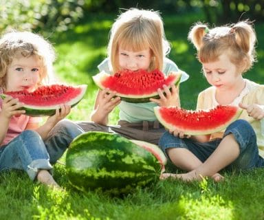 14 Reasons Why Watermelons Are Healthy Summer Snacks