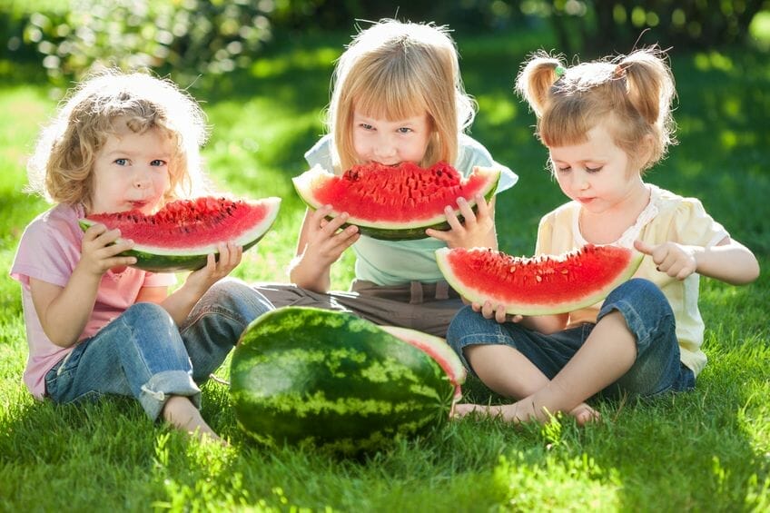 14 Reasons Why Watermelons Are Healthy Summer Snacks