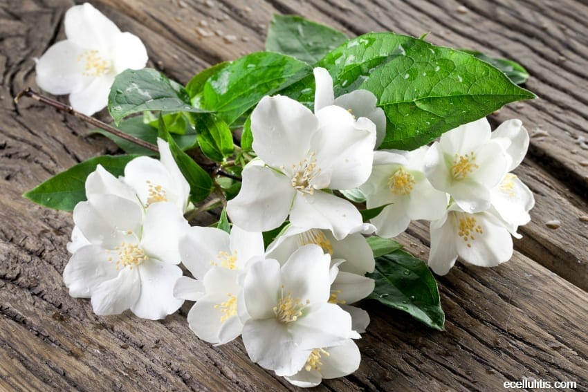 Jasmine Tea Benefits You Should Know