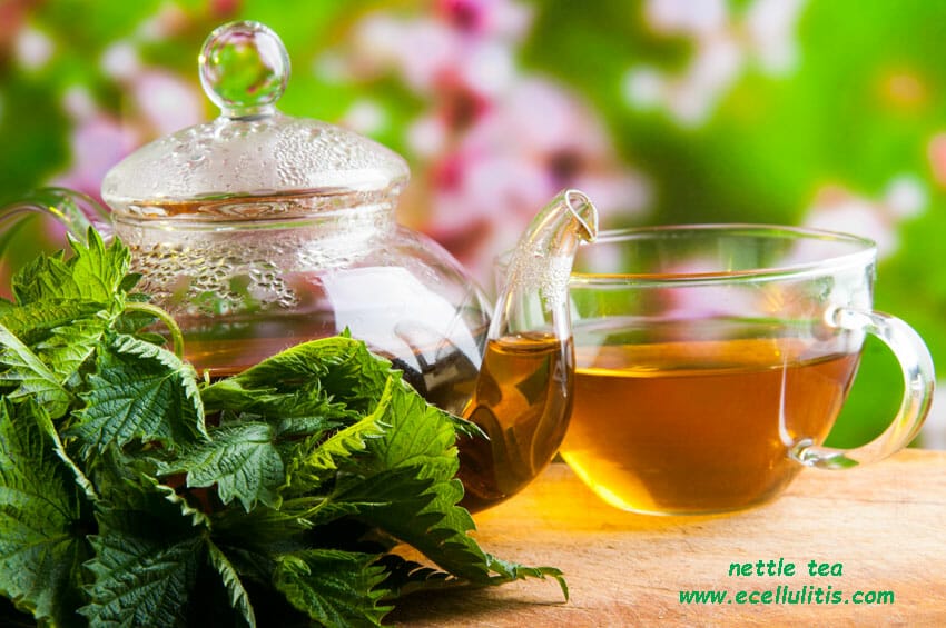 nettle tea health benefits