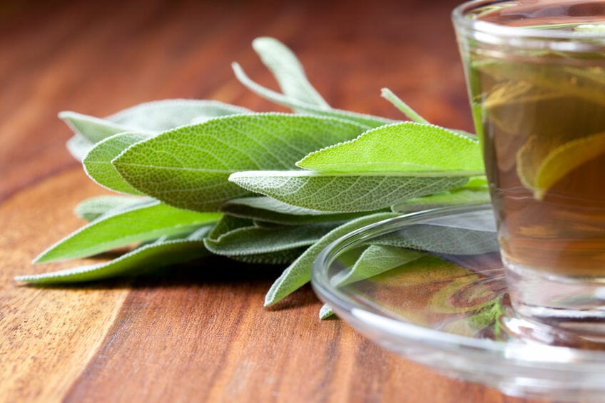 What You Need To Know About Sage Tea Health Benefits?