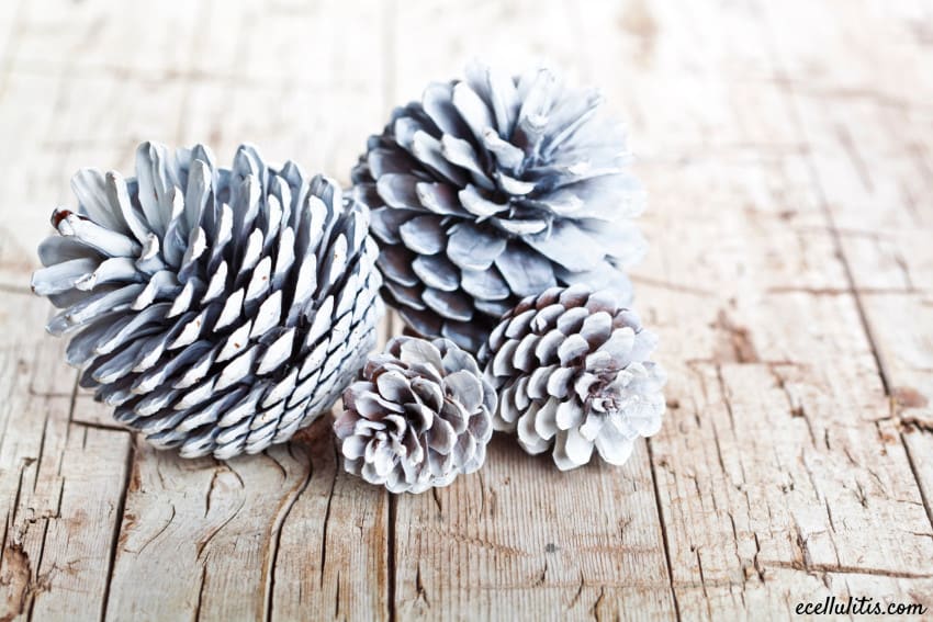pinecones - perfect holiday home decorations