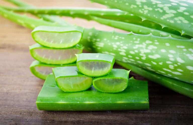 Best Home Remedies for Wounds and Cuts - Aloe Vera