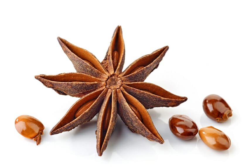 star anise seeds for common health problems