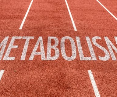 how to boost metabolism without exercising