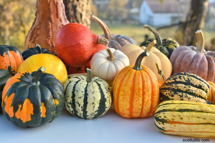 pumpkins for winter skin protection