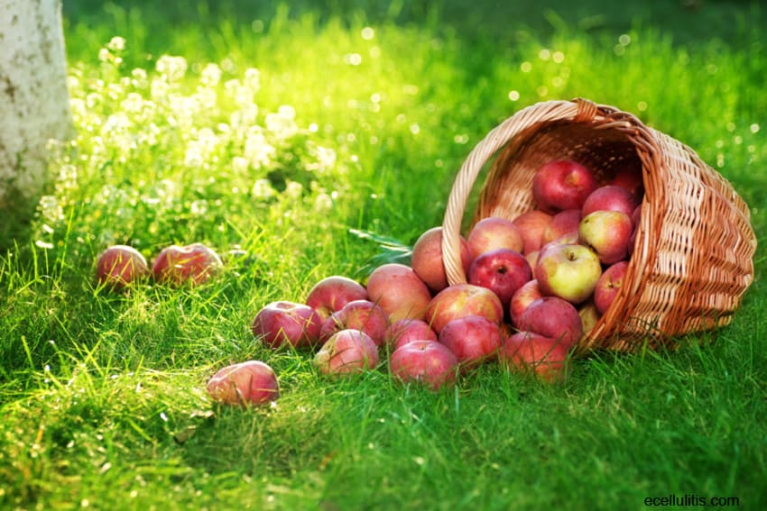 10 Amazing Health Benefits of Apples