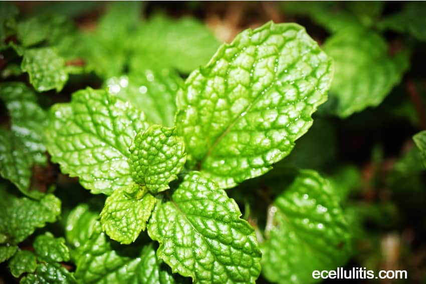 How To Cure Skin Inflammation With Natural Remedies - Peppermint leaves