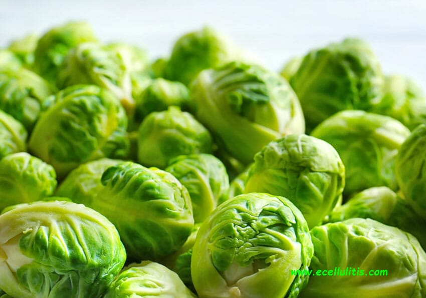 brussels sprout health benefits - fall food