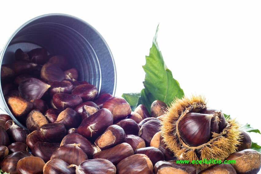 chestnuts health benefits - fall food 