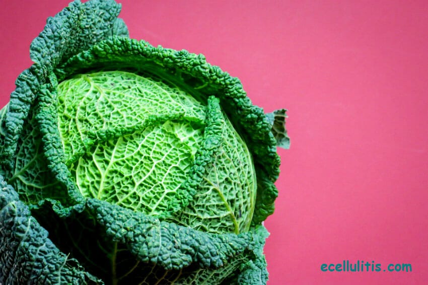 Cabbage Health Benefits And Fun Facts Ecellulitis Healthy Living