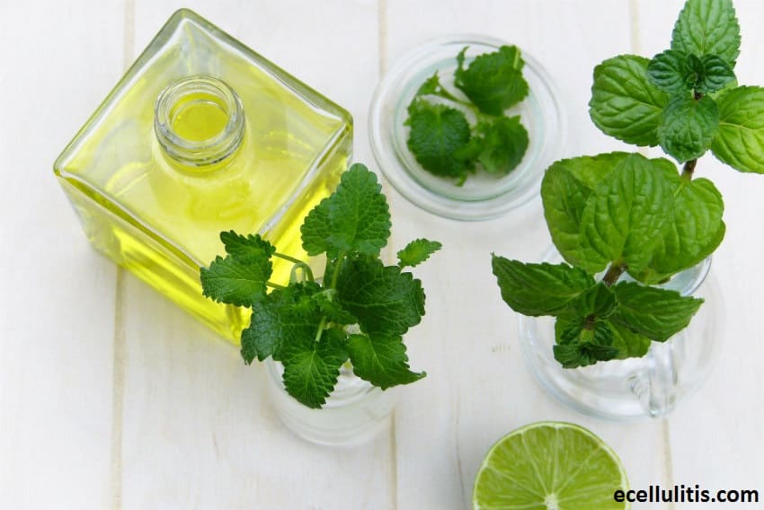 Top 7 Natural Remedies for Allergies That Actually Work