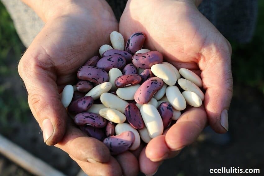 Post-Surgery Food -- Eating Legumes