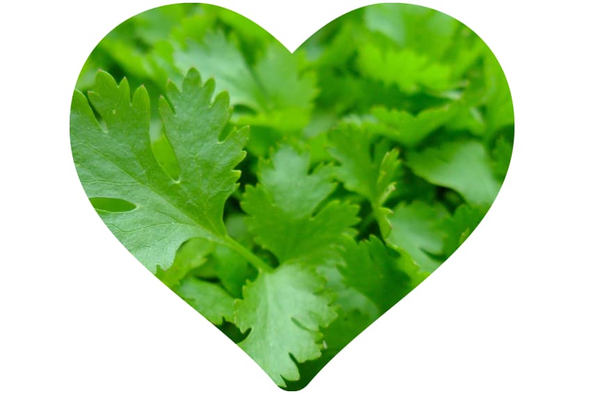 Parsley for the skin