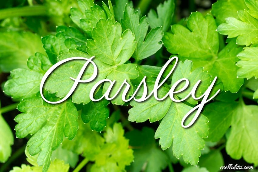 12 totally cool health benefits of parsley
