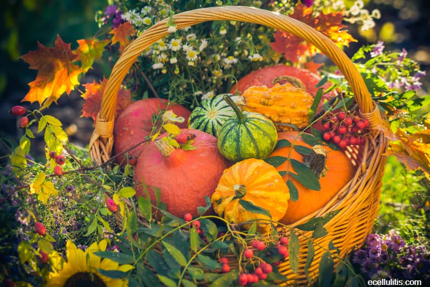 Pumpkins - Find Out their True Value